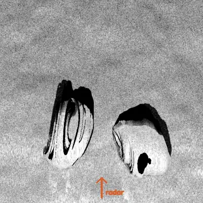 SAR, geocoded